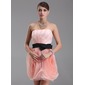 Nauwaansluitend Strapless Kort/Mini Organza Schoolgala Jurk met Roes Sash (022009145) Nauwaansluitend Strapless Kort/Mini Organza Schoolgala Jurk met Roes Sash (022009145)